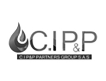 CI P&P